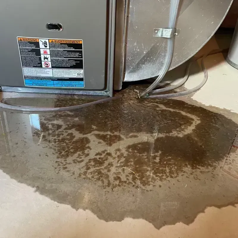 Appliance Leak Cleanup in Missoula County, MT